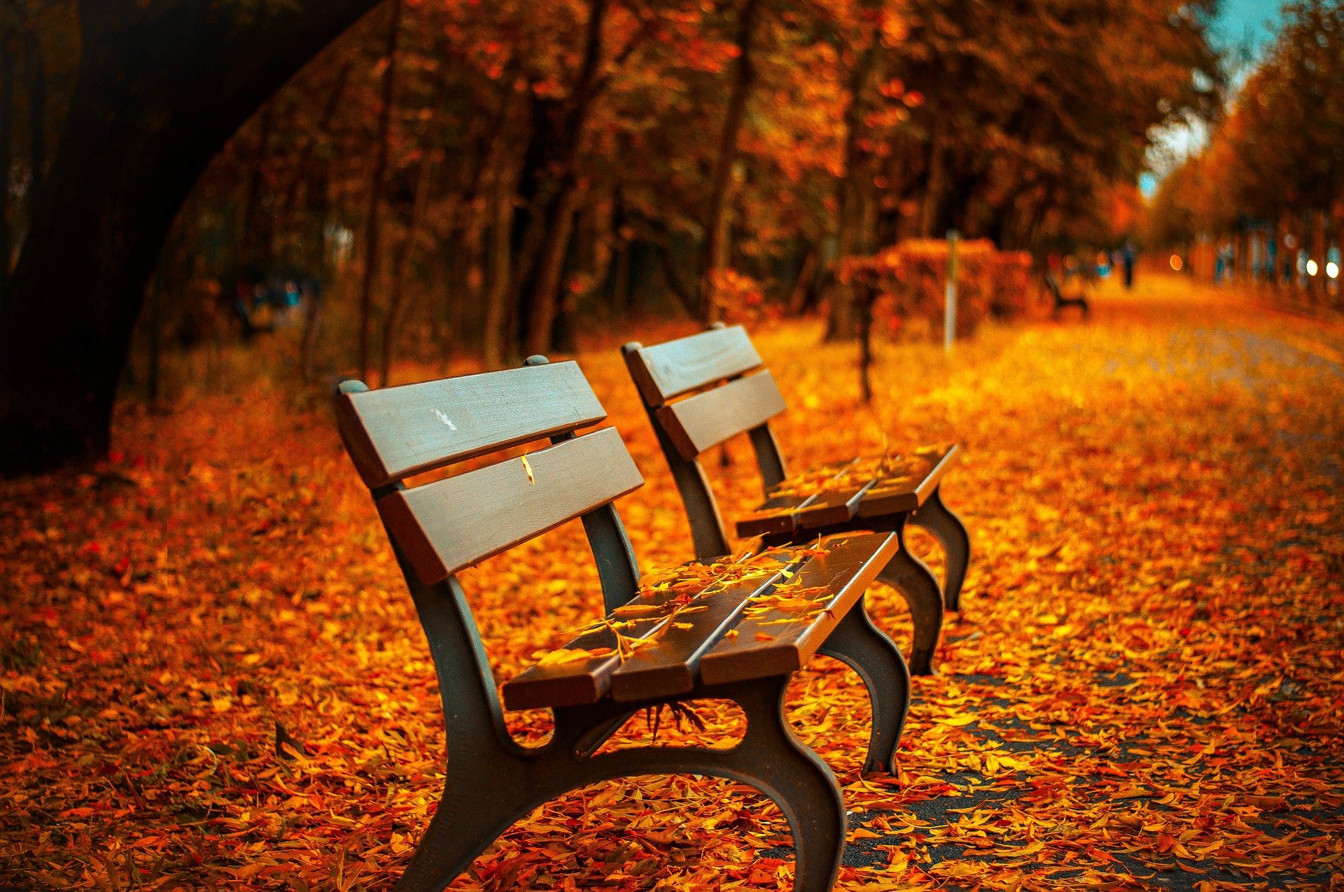 Novelties in autumn