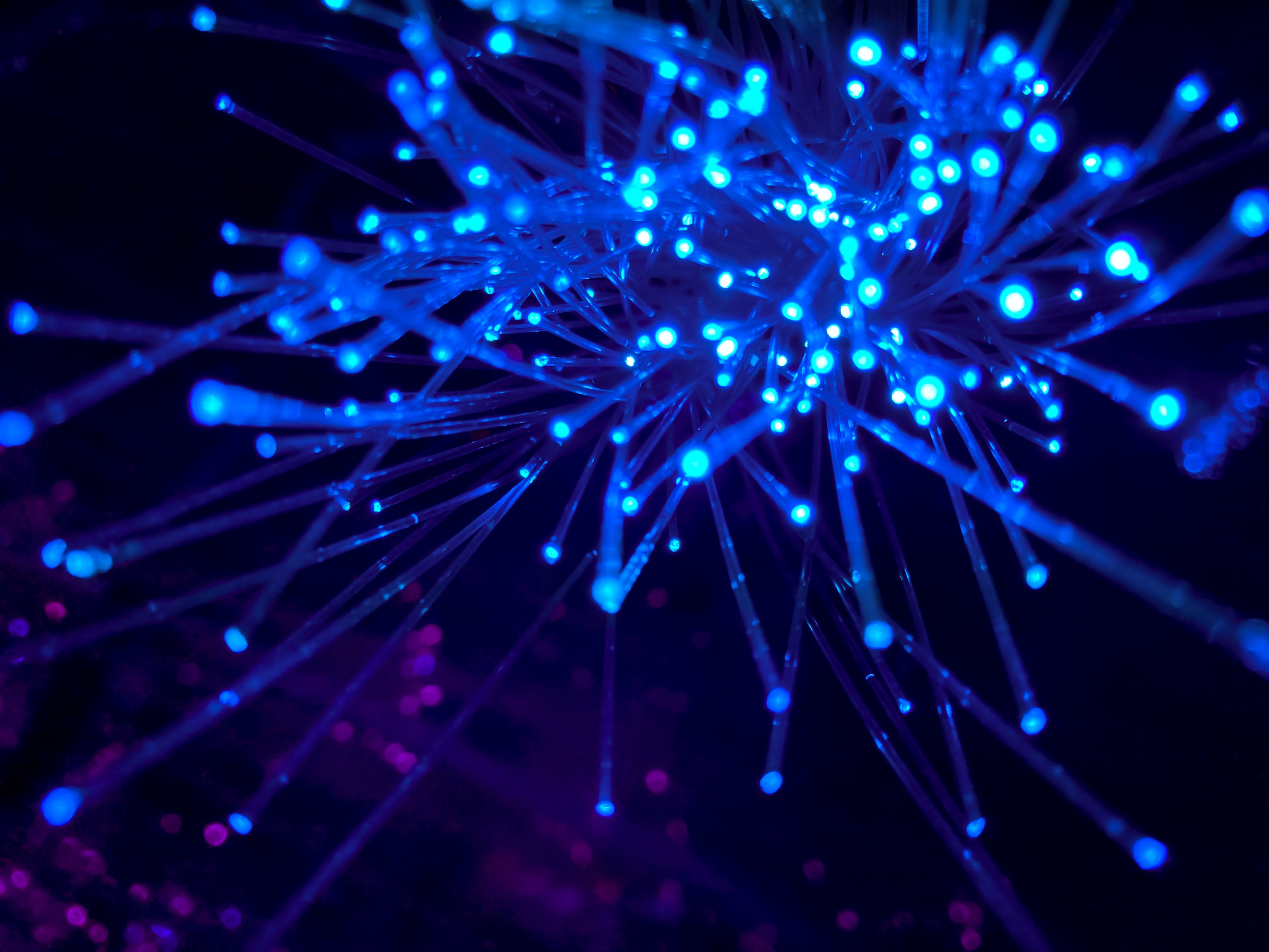 PunchCommerce as a transparent cXML gateway