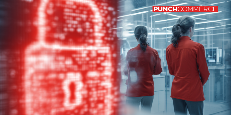 Protección y seguridad de datos para catálogos PunchOut